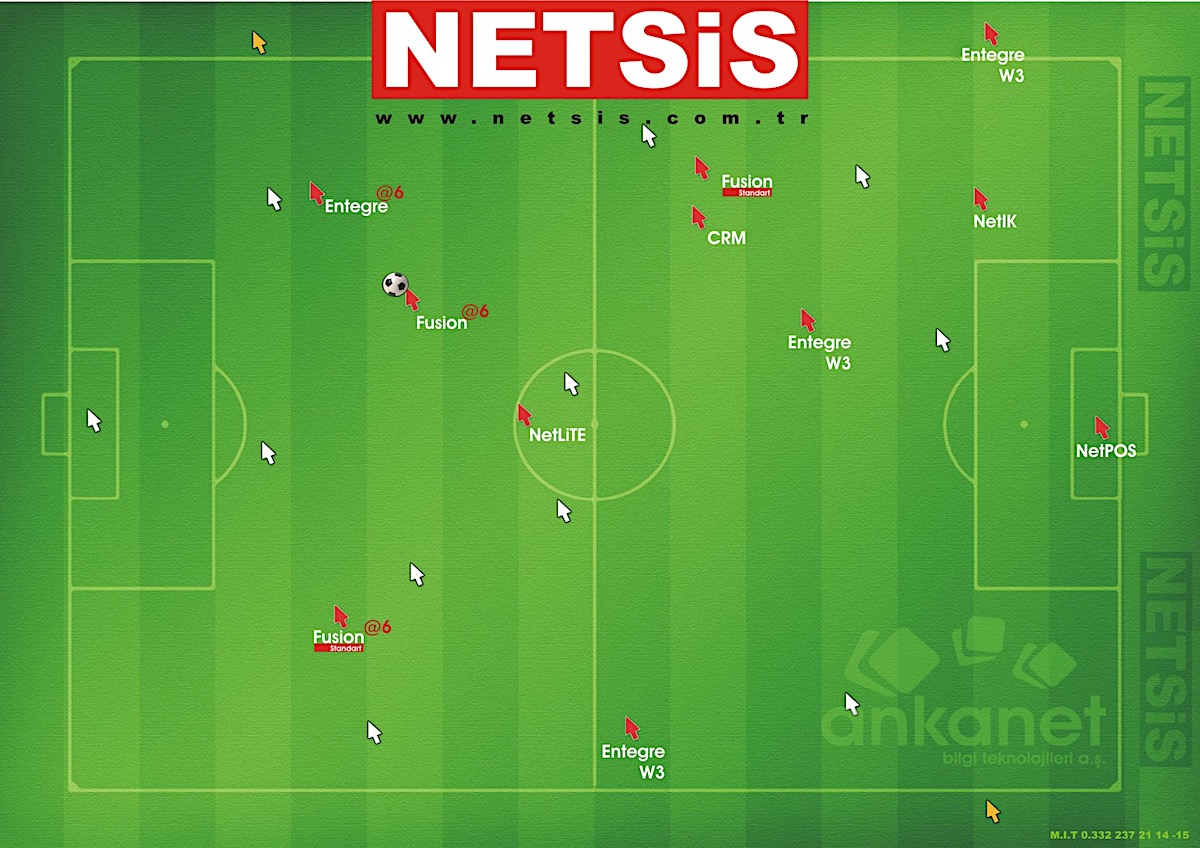 AnkaNet Addon NETSİS